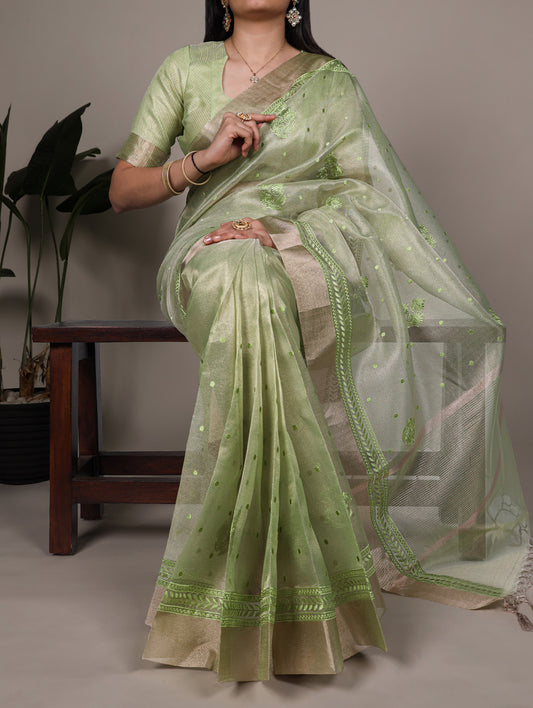 Pista Color Thred Embroidery Work Poly Shimmer Saree